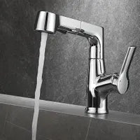 Robinet Extractible