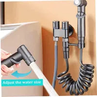 Robinet toilettes