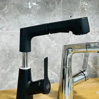 Robinet Extractible